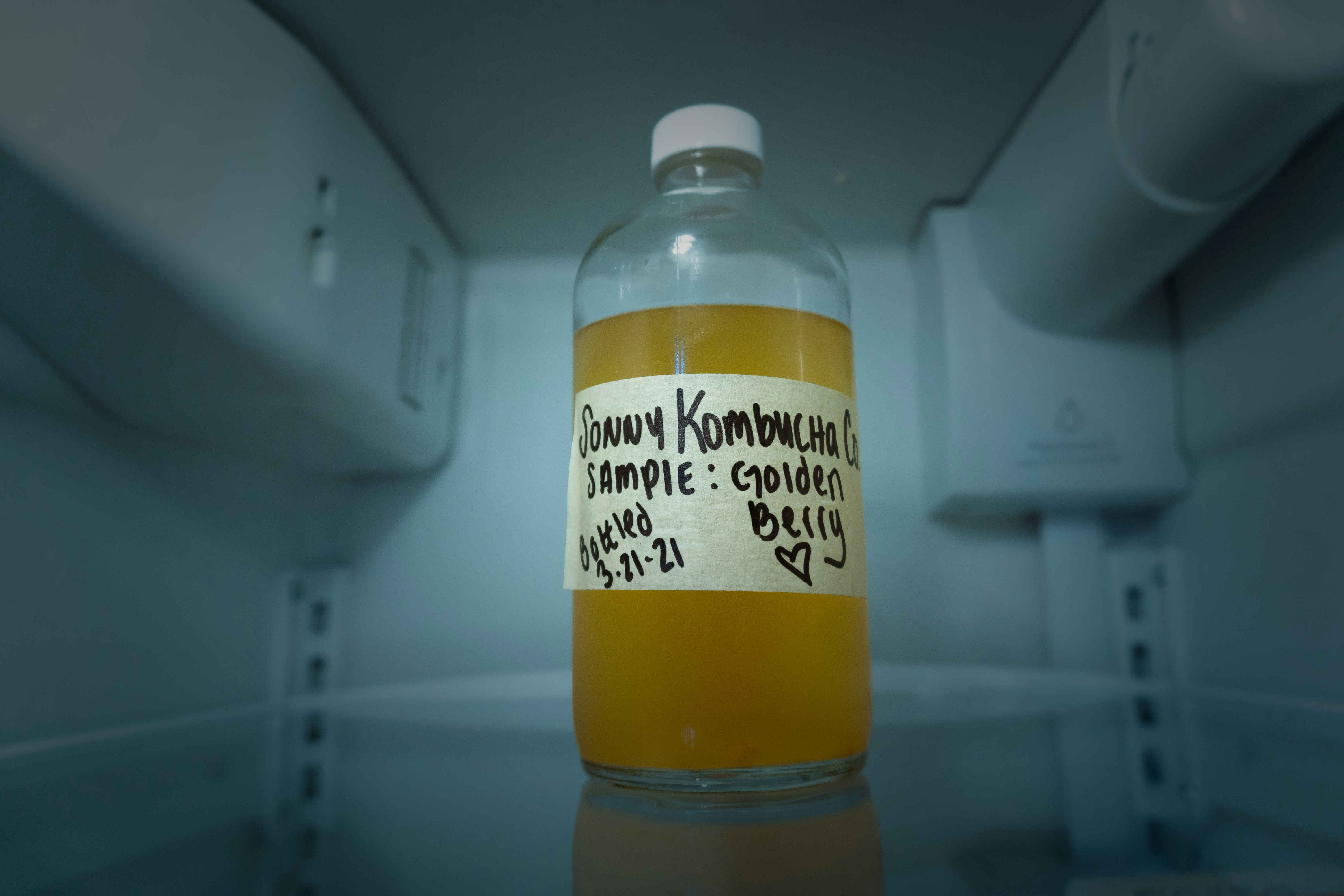 Glasses of kombucha